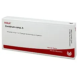Cerebrum Comp.A Ampullen