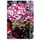 Cedon Notizbuch A6 Blumenbouquet