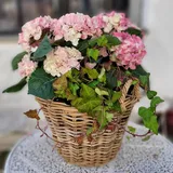 Korb Rattankorb Füllkorb Rattan geflochten rund 40x30cm Koobo Grey Landhauswelt