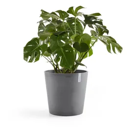 Ecopots Amsterdam Ø 50 cm x 44 cm Grau