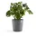 Ecopots Amsterdam Ø 50 cm x 44 cm Grau