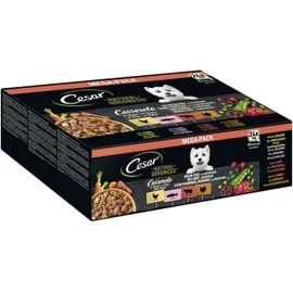 Cesar Natural GOODNESS Getreidefrei mit Superfoods x 100 g - Casserole in Soße (Lachs, Huhn, Rind, Truthahn)