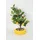 Trendline Kunstpflanze Zitronenbaum Ø 20 x 47 cm mehrfarbig