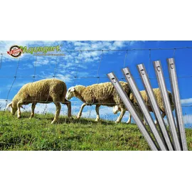 Aquagart Weidezaun 70 x 200 cm Grau/Verzinkt