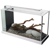 Fluval Spec 5 Aquarium weiß, ohne Unterschrank (10518)