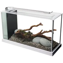 Fluval Spec 5 Aquarium weiß, ohne Unterschrank (10518)