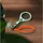 Scout Lupe Lupe Transparent