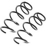 Sachs Fahrwerksfeder 998 727