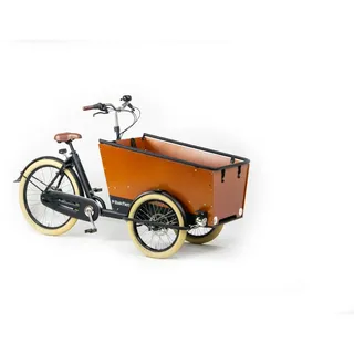 Bakfiets CargoTrike Cruiser Wide Scheibenbremsen Matt Schwarz Enviolo Stufenlose Schaltung