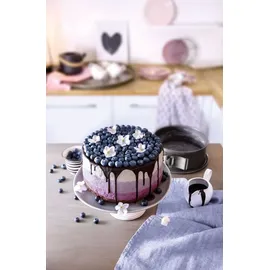 Kaiser La Forme Plus Springform mit Flachboden 28 cm