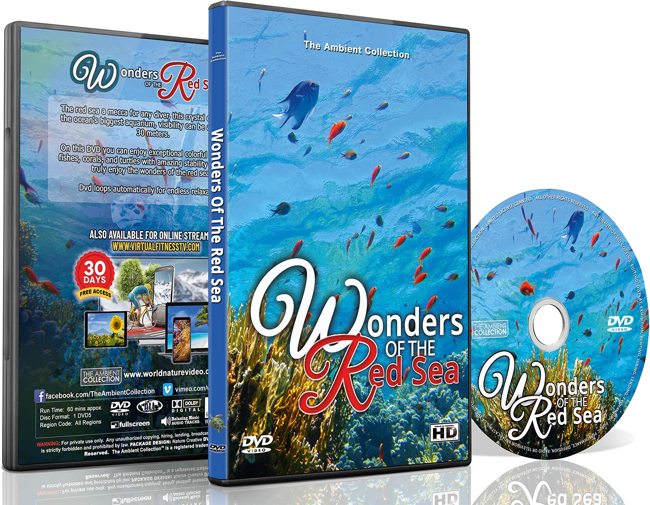 Underwater DVD - Wonders of the Red Sea - Explore Colorful Scenery of Fishes, Corals and Sea Turtles in Amazing Crystal Clear Ocean Seawater