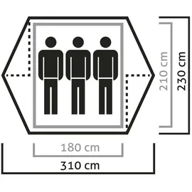 Salewa Denali III grün