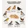 dehner natura premium Wildvogelfutter 2 kg