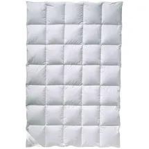 billerbeck Daunendecke Polarstern, - B/L ca. 155,00x220,00