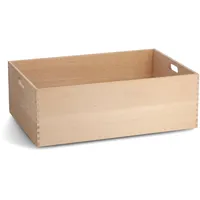 Zeller Aufbewahrungskiste 60 x 40 x 21 cm 1-tlg. beige