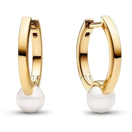 Pandora Paar Creolen Süßwasser-Zuchtperle Goldfarben goldfarben