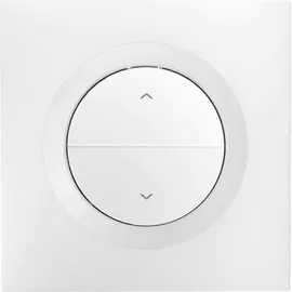 Sonoff Intelligenter Rollladenschalter Orb-RBS Matter