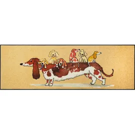 Wash+Dry Läufer, Mehrfarbig, Hund, rechteckig, 60x180 cm, Oeko-Tex® Standard 100, für Fußbodenheizung geeignet, Teppiche & Böden, Teppiche, Teppichläufer,