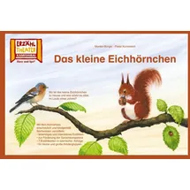 Hase und Igel Verlag Das kleine Eichhörnchen / Kamishibai Bildkarten