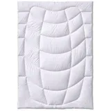 Kauffmann Cashmere medium - 135x200cm