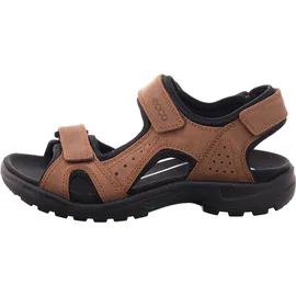 ECCO Onroads Herren cocoa brown/black 42