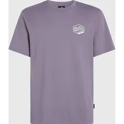 O'Neill O'neill Box Logo T-shirt storm (14519) L