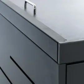 CLP Tanis für 2-3 Mülltonnen bis 240 l 132 x 80 x 116 cm anthrazit