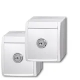 Busch-Jaeger Ocean 2 SCHUKO Steckdose, alpinweiß (20/20 EWSL-54)