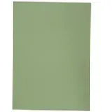 Elba 100091652. A4, Karton, Grün. 100 Blätter, 250 g/m2, 230 mm,