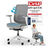 Ergotopia PureBack Drehstuhl Grau