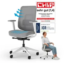 Ergotopia PureBack Drehstuhl Grau