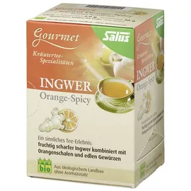 SALUS Orange Ingwer Kräutertee 15x2 g