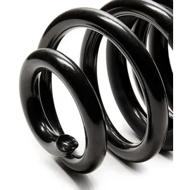 Eibach E10-85-013-02-22