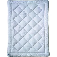 Billerbeck Billerbeck, Duvet, Faserdecke E28 Bioclean (100 g, 135