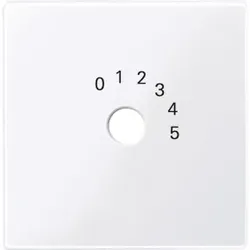Merten 452025 Zentralplatte für Programmwahlschalter aktivweiß glänzend System M