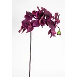 Orchideenzweig Real Touch 72cm CG Kunstblumen künstliche Orchidee Orchideen Blumen Seidenblumen ... (Beauty-Lila)