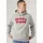 Levi's Hoodie »STANDARD GRAPHIC HOOD«, mit Kängurutasche Gr. L, co hm two color hood, , 16650634-L