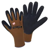 leipold doehle Nylon Latex FOAM 14902-BN Nylon Arbeitshandschuh Größe (Handschuhe): 10, xl en 388:20