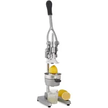 Relaxdays Saftpresse Hebelpresse Silber
