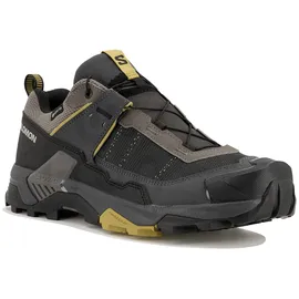 Salomon X Ultra 5 GTX Schuhe (Größe 41 , grau)