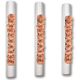 Flowerbox 3er-Set Infinity-Bloom bigTube - weiß/rosé - 65x7,5 cm