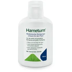 Hametum Medizinischer Reinigungsschaum 100 ml Schaum