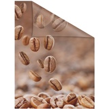 Lichtblick Fensterfolie Kaffee braun B/L: ca. 100x180 cm (B x L)