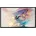 Elite Screens R100WH1 221x125 16 9