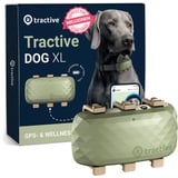 Tractive XL GPS Tracker für Hunde | Empfohlen von Martin Rütter | Bis zu 1 Monat Akku | Weltweite Live-Ortung | Weglaufalarm | Gesundheitswarnungen & Aktivitätstracking | Mehrfacher Testsieger