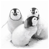 Paper + Design Paper + Design, Servietten Pinguine Tier Winter 33 x, 33cm