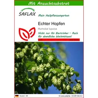 SAFLAX - Heilpflanzen - Echter Hopfen - 50 Samen