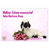 Calvendo Walliser Schwarznasenschaf Valais Blacknose Sheep (Wandkalender 2026 DIN