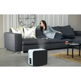 Boneco Luftbefeuchter Verdampfer S450