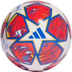 UCL Training 23/24 Knock-out Ball 4